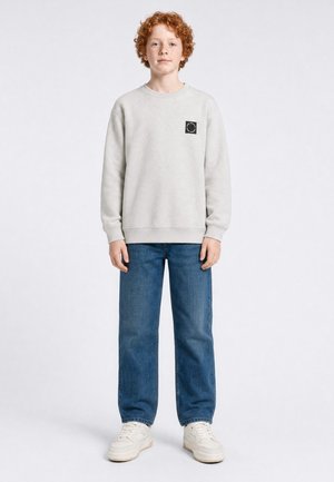Petrol Industries, ROUND NECK SWEATER MILLHILL - Sweater - ice grey