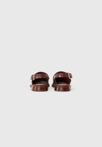 Dolce Vita HARDI - Pantofi slip-on - brown