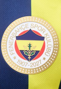 Emblème du club de football Fenerbahçe avec un bouclier, des feuilles et le texte "Fenerbahçe Spor Kulübü 1907-2027" sur un tissu rayé bleu et jaune.