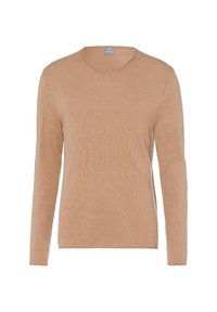 Beiger V-Ausschnitt-Pullover aus weichem, leichtem Stoff, mit langen Ärmeln und glatter Textur, geeignet für die Freizeit.
