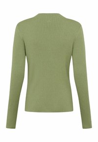 Pull en maille côtelée à manches longues couleur vert clair. Il présente un col rond et une silhouette ajustée, fabriqué en tissu doux et texturé.