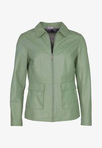 Niet geselecteerd, pale green