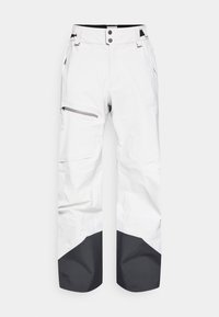 ALPINE GORE-TEX PANTS - Pantaloni da snowboard - antarctica