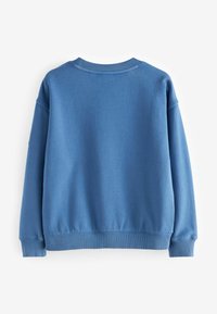 Felpa blu con collo rotondo e polsini a costine, caratterizzata da una superficie liscia e una vestibilità rilassata. La vista posteriore non mostra dettagli aggiuntivi.