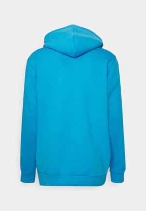 HOODY UNISEX - Hoodie - app sky rush