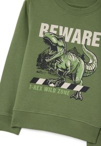 Groene sweatshirt met een T-rex grafiek, "PAS OP" tekst en "T-REX WILD ZONE" label. Ribbelkraag en -manchetten, gladde katoen textuur.