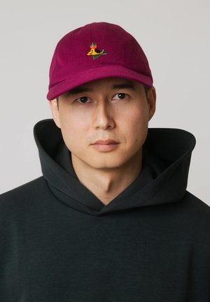 Mężczyzna w ciemnej bluzie z kapturem i bordowej czapce z daszkiem z małym haftowanym żółtym psem i zielonym liściem.