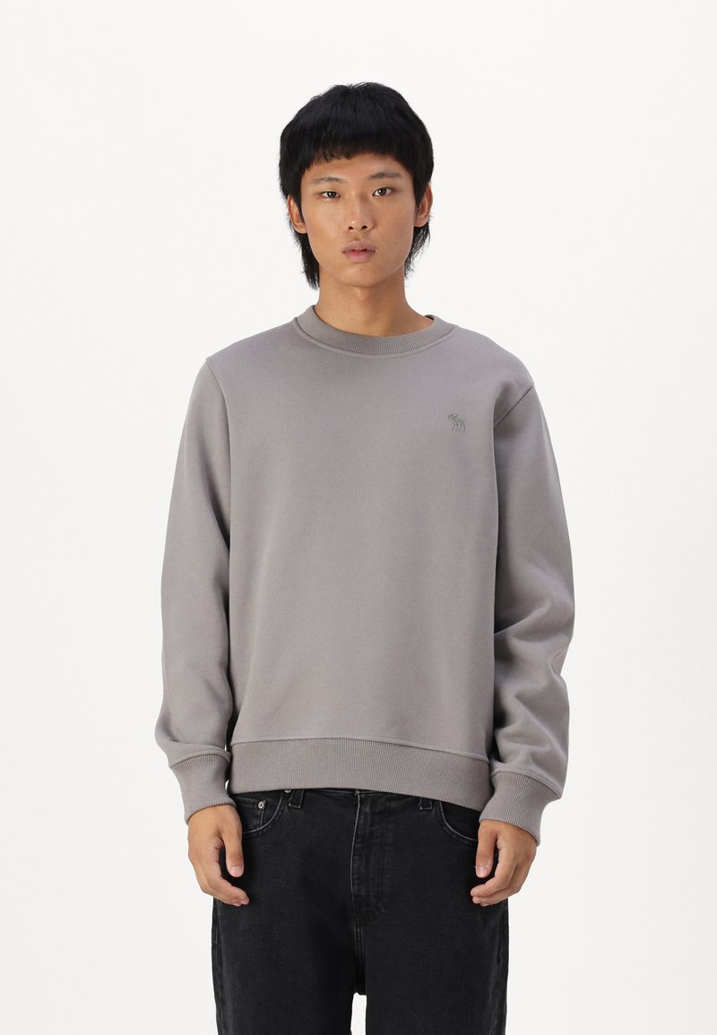 Abercrombie & Fitch ICON - Sweatshirt - frost gray