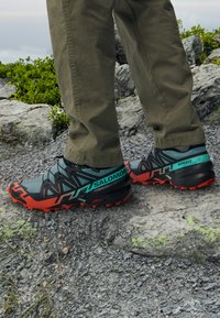 SPEEDCROSS 6 GTX - Scarpe da trail running - north atlantic/black/cherry tomato