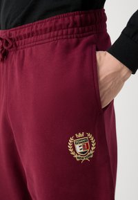 Tommy Jeans CREST - Trainingsbroek - deep rouge