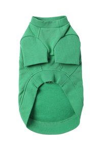 Groen hondentrui gemaakt van zachte stof. Voorzien van een hoge kraag, korte mouwen en een ronde opening voor het lichaam. Gladde, rekbare textuur.