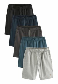 Next - LIGHTWEIGHT 5 PACK-REGULAR FIT - Treningo apatinė dalis - black blue grey core Miniatiūros vaizdas 1