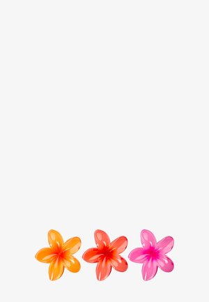 Trois fleurs de frangipanier brillantes en orange, rouge et rose disposées en ligne sur un fond blanc.