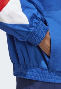 adidas Performance Fotbalový dres - royal blue