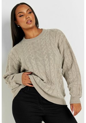 Pull en maille torsadée de couleur beige clair, avec un col rond classique et des poignets côtelés, offrant une coupe décontractée et un motif texturé.