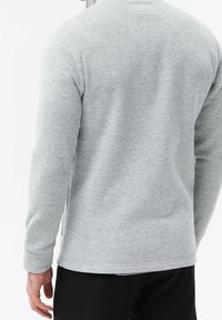 Sudadera gris claro con una textura suave, con mangas largas y un corte recto, mostrada desde la parte de atrás con un mínimo detalle de costura.