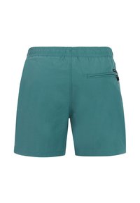 Turfkleurige zwembroek voor heren met elastische tailleband en een ritssluiting aan de achterzak aan de rechterkant, gezien van achteren.