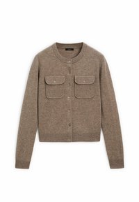 Massimo Dutti Strickjacke - brown