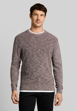 Man wearing a marled purple and gray knit sweater over a white shirt with black pants, standing against a plain gray background.