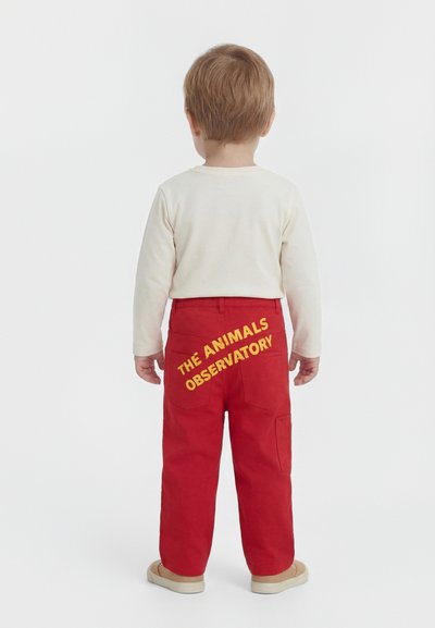 Παιδί με καστανόξανθα μαλλιά στέκεται γυρίζοντας την πλάτη, φοράει λευκό μακρυμάνικο πουκάμισο και κόκκινο παντελόνι με κίτρινη επιγραφή "THE ANIMALS OBSERVATORY" στην πλάτη.