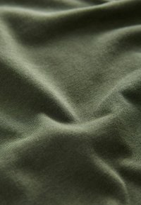 Next RELAXED FIT HEAVYWEIGHT  - Pamata T-krekls - khaki green