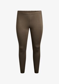 Pasirinkta, sea turtle