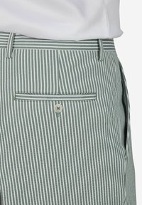 Gestreepte broek in lichtgroen en wit; voorzien van een achterzak met een knoop en contrasterende biezen langs de tailleband.