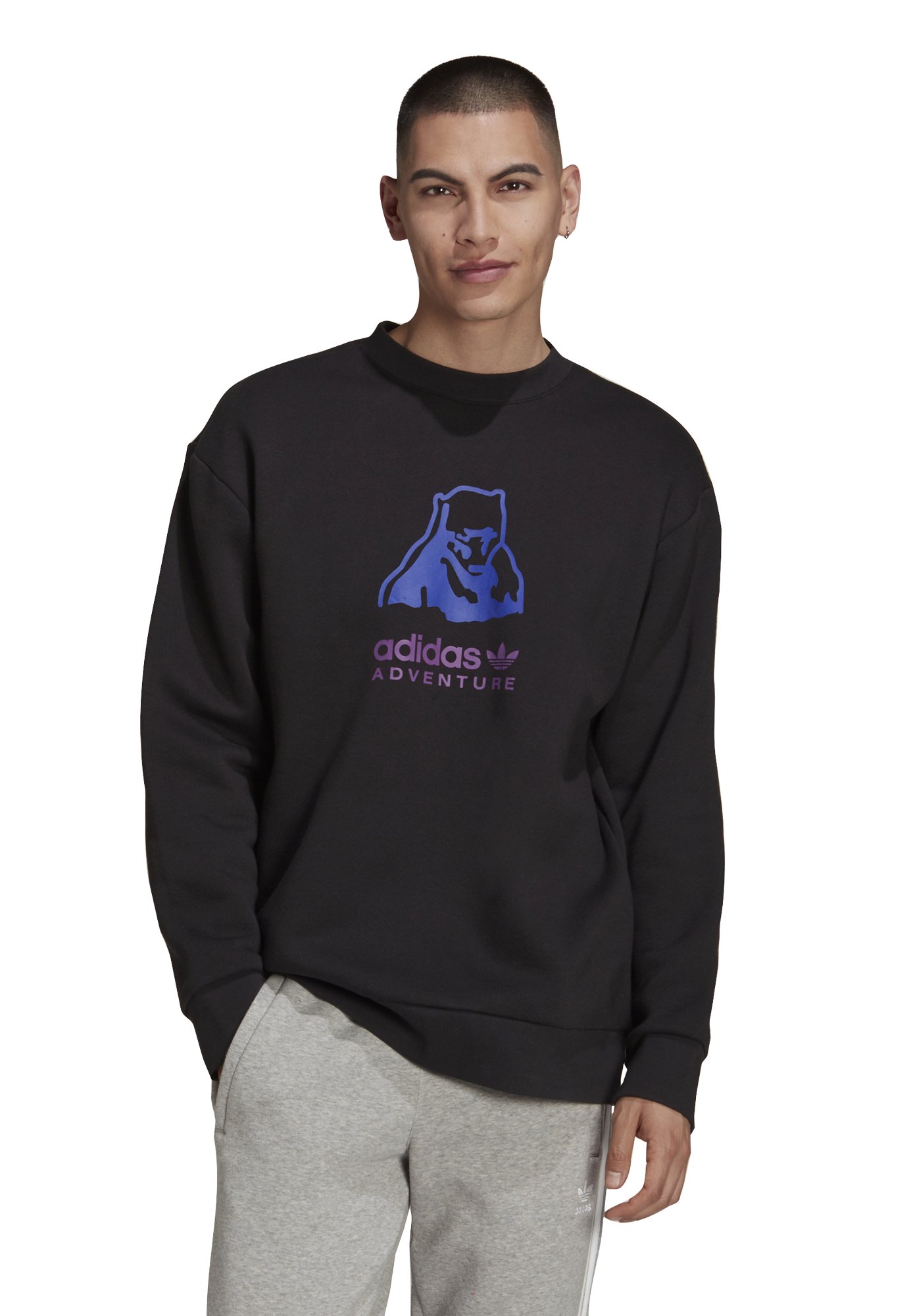 Sudadera con capucha adidas Adventure C-Butterfly - Gris adidas | adidas  España