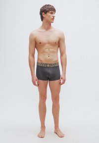 Γκρι μποξεράκια με χρυσό μοτίβο ελληνικού κλειδιού στη μέση, κατασκευασμένα από απαλό υλικό, εφαρμοστό σχέδιο, μεσαία μέση και χωρίς ορατά ραφές.