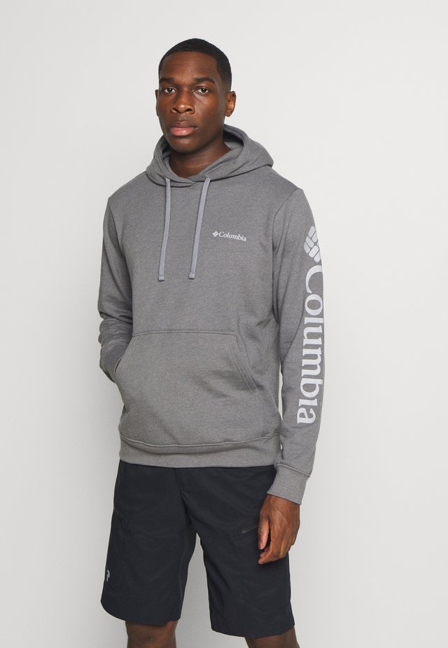 VIEWMONTII SLEEVE GRAPHIC HOODIE - Jersey con capucha - city grey