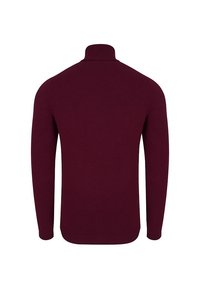 Bordowy sweter dzianinowy z wysokim kołnierzem i długimi rękawami, o gładkiej fakturze i dopasowanym kroju. Brak widocznych wzorów i dodatków.