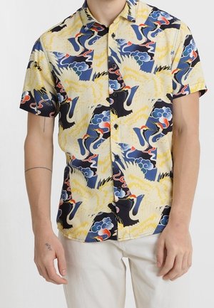 Camisa - multi-coloured