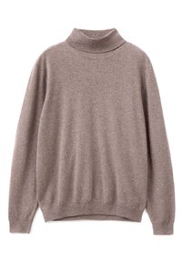DOVE TURTLENECK IN PURE - Trui - beige