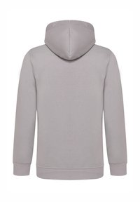 Helle graue Kapuzenjacke im Pullover-Design, mit langen Ärmeln, gerippten Bündchen und Saum sowie einer geräumigen Kapuze. Glatte Textur, keine Logos oder Muster.
