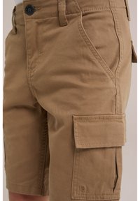 WE Fashion BLUE RIDGE - Šortky - brown