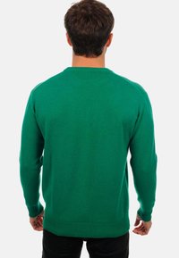Mahogany NESTOR 4F - Pullover - evergreen