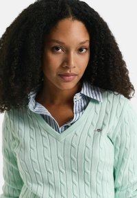 Maglione verde chiaro a maglia rasata con scollatura a V, indossato sopra una camicia a righe blu e bianche. Il maglione presenta un piccolo logo sul petto.