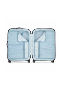 Delsey Paris TURENNE - Trolley - backstein