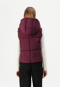 JDY JDYWONDER SHORT HOOD - Liemenė - fig