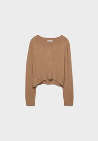 Suéter corto marrón con mangas largas, cuello redondo amplio y dobladillo acanalado. Fabricado con un material suave de textura lisa.