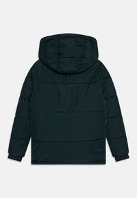 Giacca puffa verde scuro con cappuccio, caratterizzata da cuciture orizzontali e polsini elasticizzati. Tessuto liscio, resistente all'acqua, con fodera in peluche.