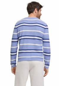 Maglione a righe con tonalità di blu e bianco, lavorazione a maglia testurizzata, colletto a girocollo e maniche lunghe. Unico motivo a spina di pesce che accentua il design.