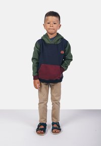Sweat à blocs de couleurs en marine, vert et bordeaux, avec poche kangourou et logo d'éléphant ; associé à un pantalon khaki et des sandales bleues.