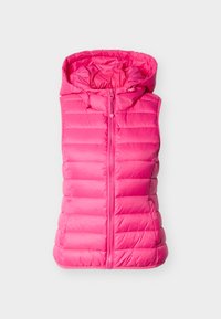 Neselectat, pink yarrow