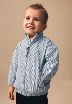 Next, REGULAR FIT  - Bomber Jacket - light blue pinstripe