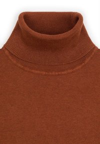 Sweter w kolorze rdzy z dzianiny, z kołnierzem typu golf i gładką, cienką dzianiną na korpusie.