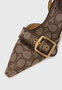 Barna mintás hegyes orrú cipő bőrszegéllyel és arany négyzet alakú csattal a felső részén lévő pánton.