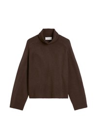 Brązowy sweter z dzianiny z wysokim kołnierzem, o luźnym kroju, z długimi rękawami i prążkowanymi mankietami. Miękka tekstura i subtelne detale szwów.