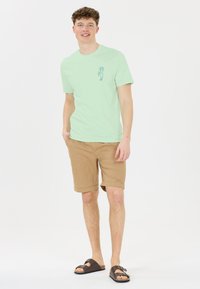 Vaaleanvihreä puuvillapaita, jossa on pieni palmupuun printti, vaaleat shortsit ja ruskeat liukusandaalit. Ominaisuudet: lyhyet hihat ja rento istuvuus.