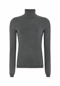 Grijze coltrui gemaakt van zacht materiaal, met lange mouwen, een getailleerd silhouet en ribbelaccenten bij de kraag en zoom.